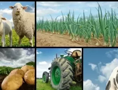 Obrigatoriedade do CNPJ para produtores rurais em todo o Brasil exige atenção redobrada e planejamento