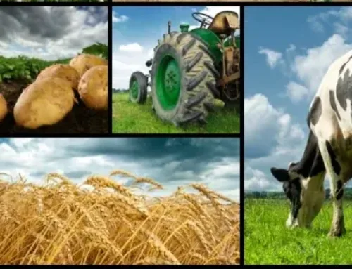 Goiás registra superávit de US$ 1,047 bilhão na balança comercial em abril de 2026