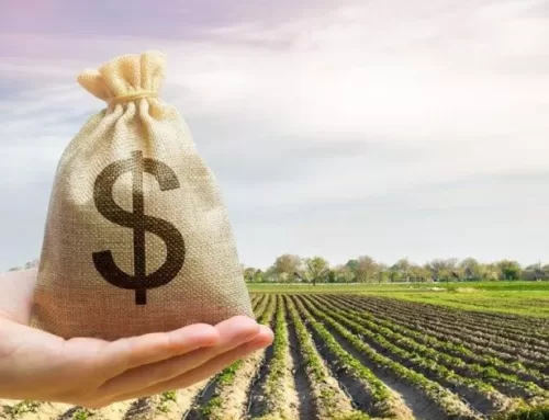 Goiás caminha para a segunda maior safra de grãos da história