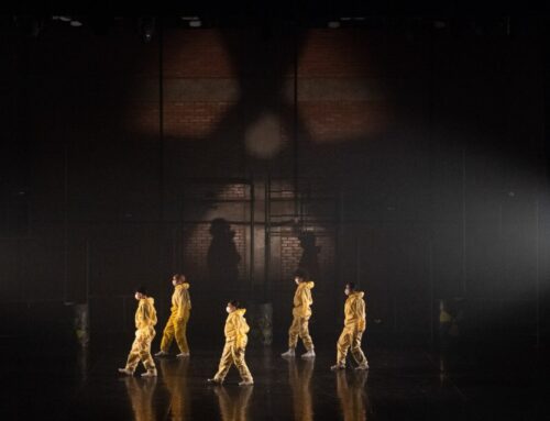Alunos do Basileu França apresentam dois espetáculos de circo