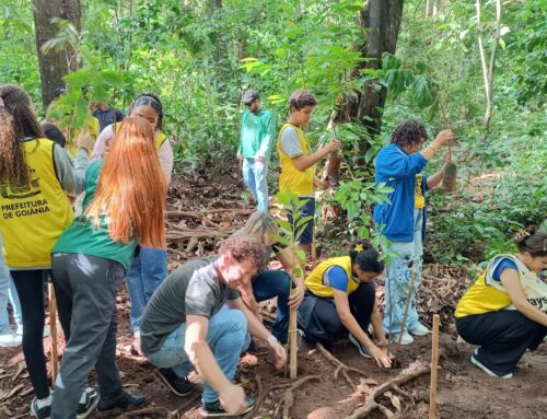 Virada Ambiental 2025 tem criação inédita de corredor verde entre Goiânia e Aparecida