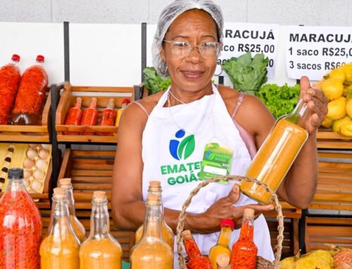 Governo de Goiás inaugura primeiro Mercadão Goiano em Águas Lindas
