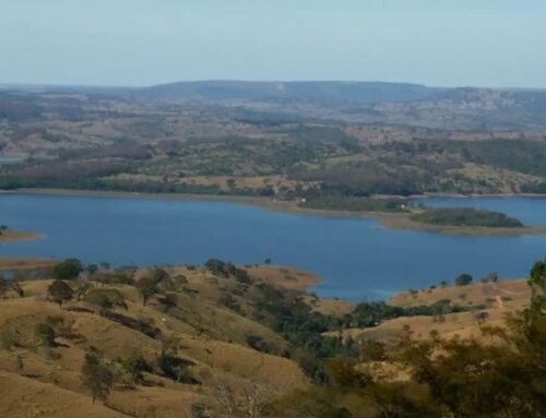 Caiado apresenta ações de Goiás na COP30, em Belém (PA)