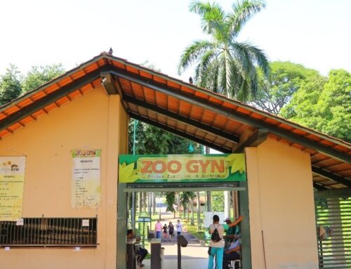 Zoológico de Goiânia passa a aceitar PIX no pagamento direto na bilheteria