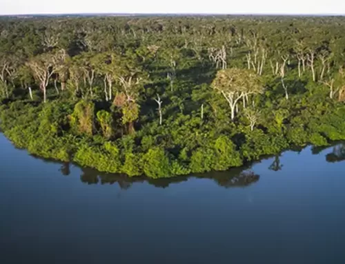 Saneago lança Programa Agroflorestal para fortalecer segurança hídrica e alimentar