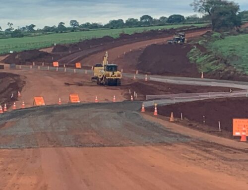 Passagens de fauna aliam preservação ambiental e segurança viária em obras geridas pelo IFAG