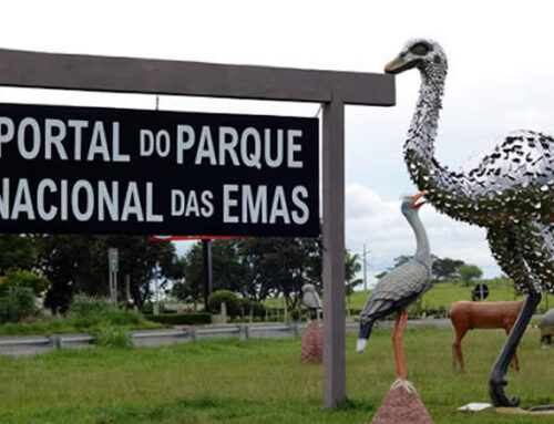 NaveGo instala 40 pontos de Wi-Fi público para fortalecer turismo