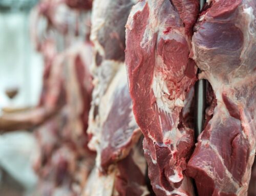 China endurece regras para carne bovina brasileira e sinal acende para o agro