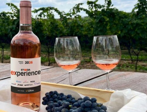 Steeda promove imersão em vinícola e conecta empresários a plataformas líderes em tecnologia