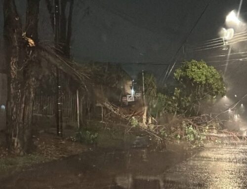 Semana começa com alerta laranja de chuvas intensas em 17 estados