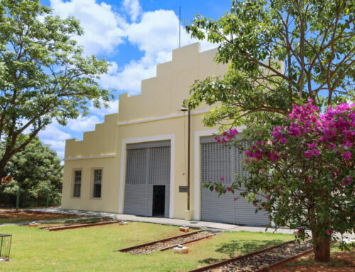 Fim de semana tem cinema, música, feiras e exposições em espaços culturais de Goiás