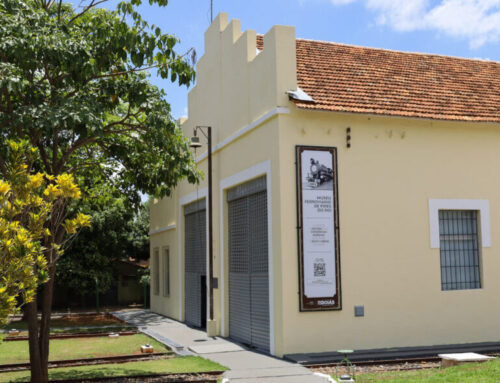 Animação francesa encanta o público infantil no Cine Ferroviário neste fim de semana