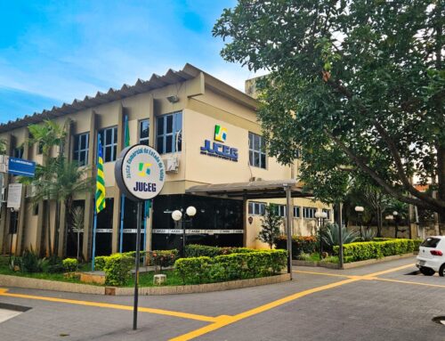 Mais de 15 mil mulheres abriram empresa este ano em Goiás