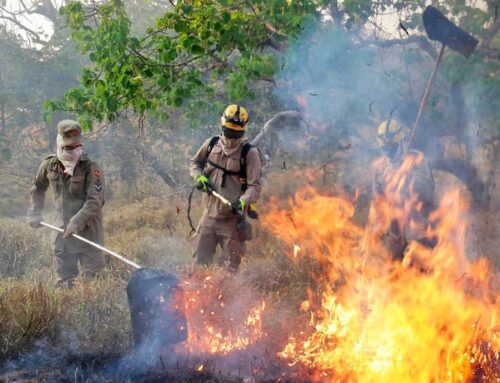 Fapeg lança chamada pública para projetos que visam prevenir incêndios no Cerrado