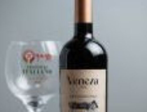 Festival de Nova Veneza lança vinho para celebrar a 20ª edição da festa