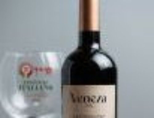 Festival de Nova Veneza lança vinho para celebrar a 20ª edição da festa