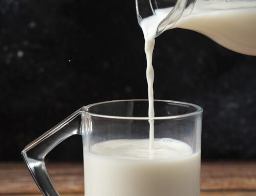 Conheça 5 mentiras que estão te contando sobre o leite