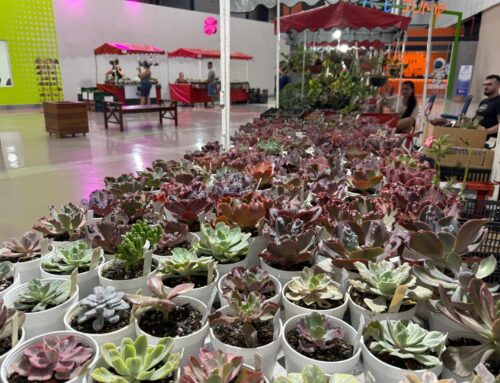 Com opções a partir de R$ 2,50, Bazar Estação das Plantas realiza edição especial de Dia das Mães