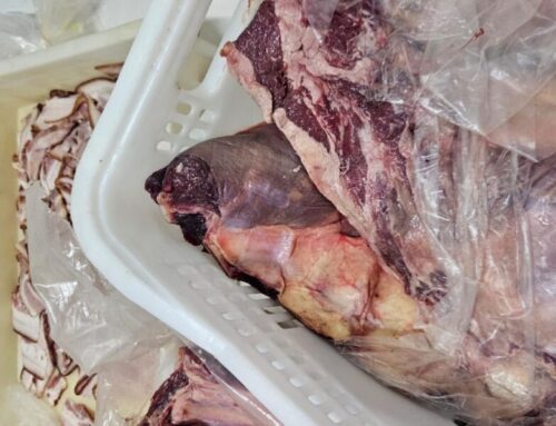 Procon Goiás fiscaliza supermercados e apreende mais de 215 quilos de carnes impróprias para consumo