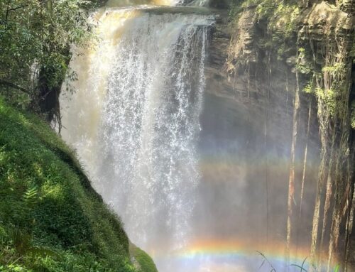 Turismo goiano registra terceira maior alta do país