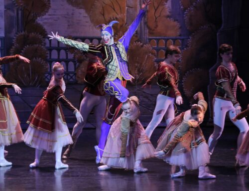 Moscow City Ballet apresenta o clássico “O Lago dos Cisnes” em Goiânia