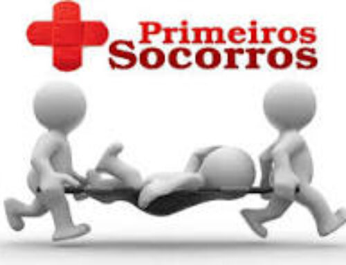 Curso gratuito de primeiros socorros prepara crianças para agir em emergências