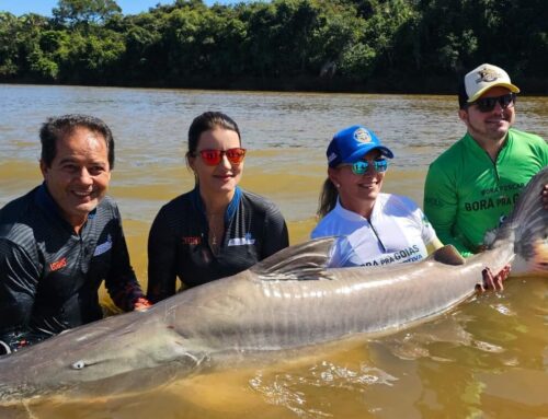 Pesca em Goiás tem novas regras. Confira o que muda