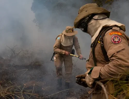 Seca faz Governo de Goiás decretar emergência ambiental e reforçar prevenção a incêndios florestais