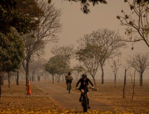 Goiás está na lista de focos de calor e fumaça. Veja orientações para proteger a saúde