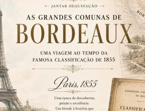 Vinhos, história e Paris de 1855 inspiram experiência sensorial em Goiânia