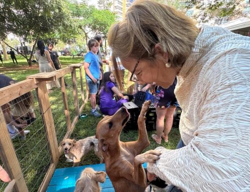 Goiânia abre inscrições para Programa de Castração Gratuita com 1,5 mil vagas para cães e gatos