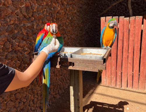 Zoológico tem cuidados especiais com animais durante variações de temperatura