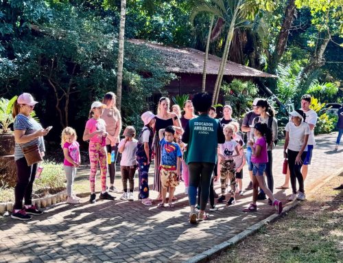 Parques da capital tem colônia de férias com atividades de educação ambiental