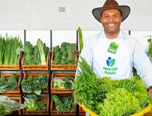 Emater Goiás promove feira de agricultura familiar nesta sexta-feira, 24, em Goiânia