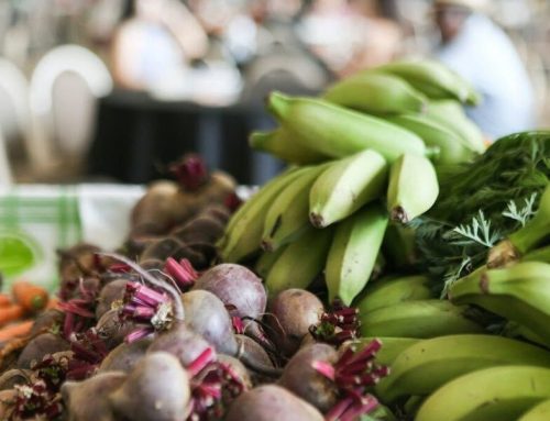Alimentação escolar em Goiás conta com produtos da agricultura familiar