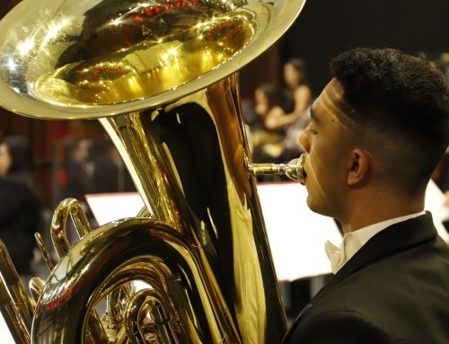 Orquestra Filarmônica de Goiás realiza o segundo concerto de câmara de 2026