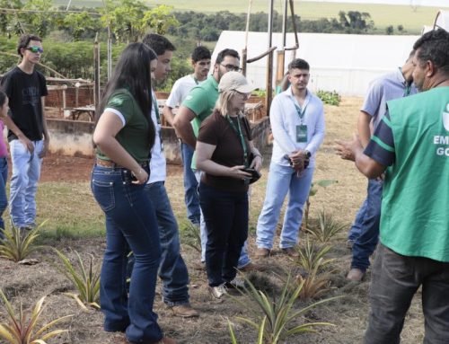 Emater divulga resultado da seleção para segunda turma do Agro é Social Jovem