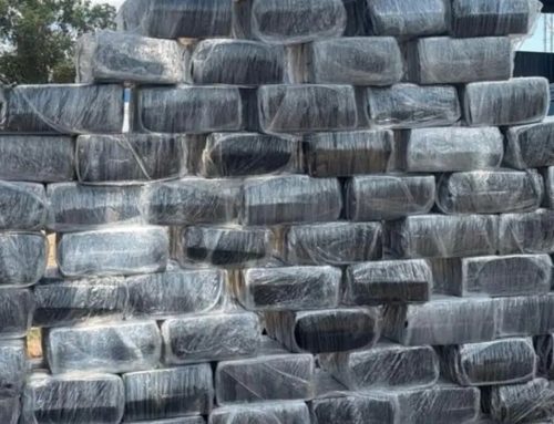 Forças de segurança apreendem mais de 2 toneladas de drogas em operações integradas