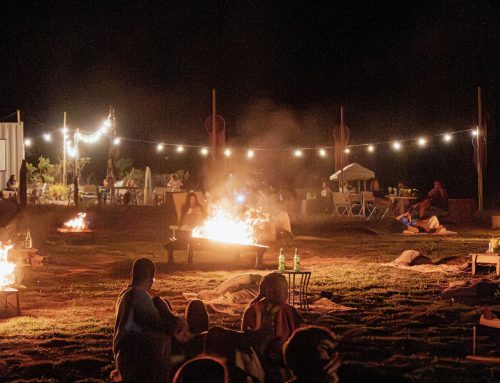 Mirante do Alto celebra o inverno na Chapada dos Veadeiros reunindo música, cinema, gastronomia e tradições culturais