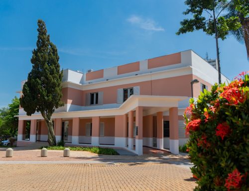 Secult Goiás realiza consulta pública do Programa Goyazes