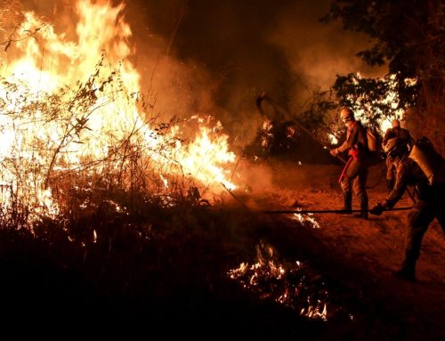 Governo de Goiás reforça prevenção e combate a incêndios em vegetação durante a estiagem