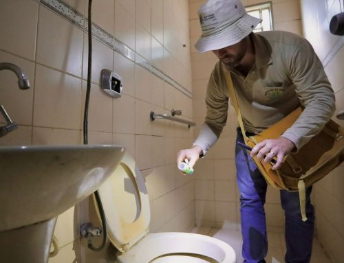 Goiânia inicia instalação de armadilhas para ampliar combate ao Aedes aegypti