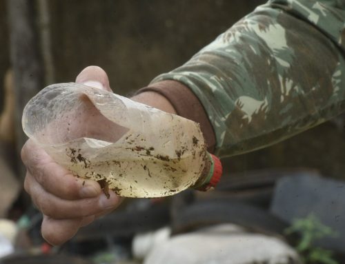 Saúde alerta para prevenção da dengue e chikungunya durante período de estiagem