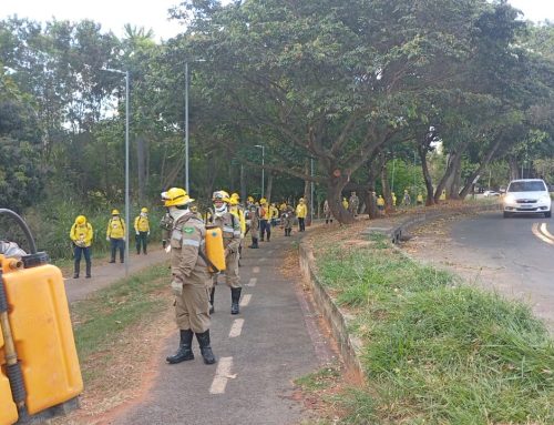 Goiânia reforça ações de prevenção às queimadas e forma primeira brigada municipal de incêndios