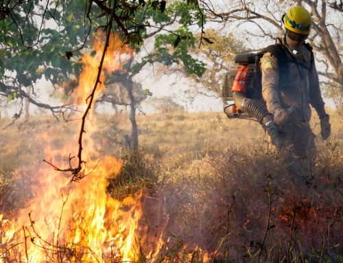 População recebe orientações sobre prevenção a incêndios em áreas urbanas