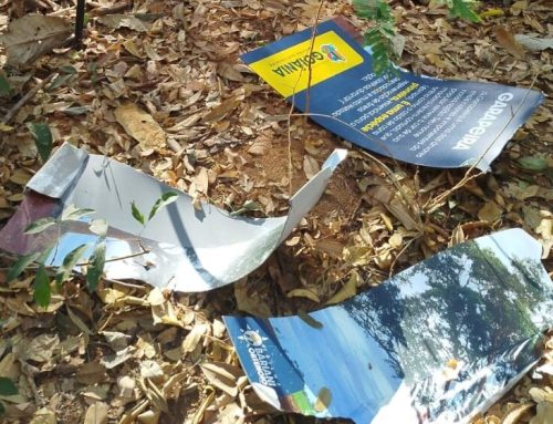 Vândalos destroem placas da trilha ambiental Bariani Ortêncio, no Bosque dos Buritis