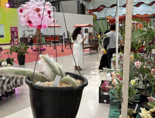 Plantas conquistam espaço como presente de Dia dos Pais e reforçam nova forma de demonstrar afeto