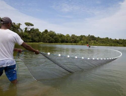 Prazo para atualização cadastral de aquicultores é prorrogado até 31 de dezembro