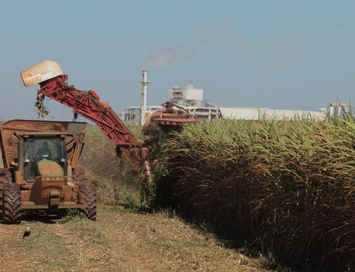 Goiás lidera três culturas agrícolas no país e produz 20,3 milhões de toneladas de soja