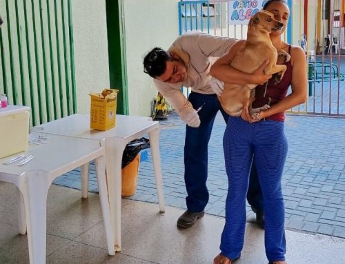 Prefeitura realiza campanha de vacinação antirrábica neste sábado, 12